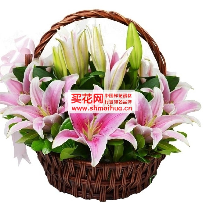 长辈生日祝福语推荐