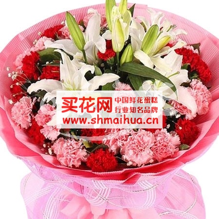送母亲什么花好?