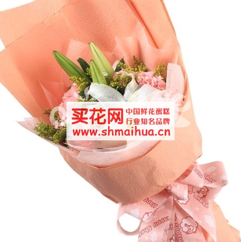 送母亲什么花好?